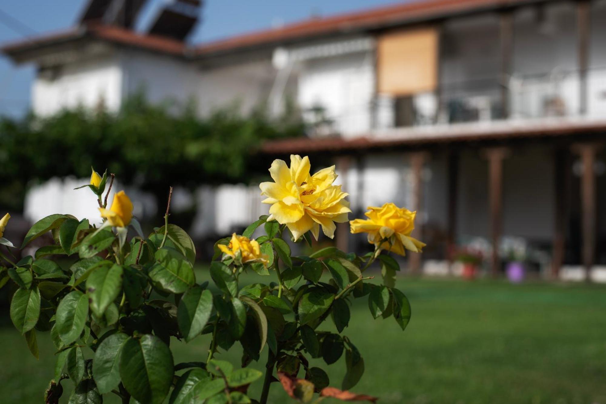 Marilena Apartments Anastasiou Velika  Dış mekan fotoğraf