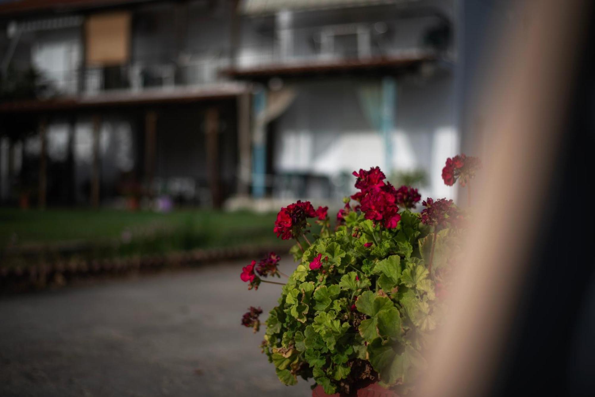 Marilena Apartments Anastasiou Velika  Dış mekan fotoğraf